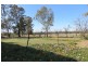 621 Flora Reserve Road, Gilgandra NSW 2827