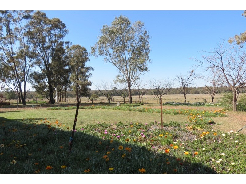 621 Flora Reserve Road, Gilgandra NSW 2827