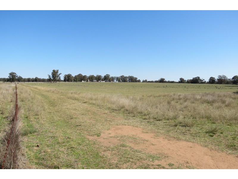 621 Flora Reserve Road, Gilgandra NSW 2827