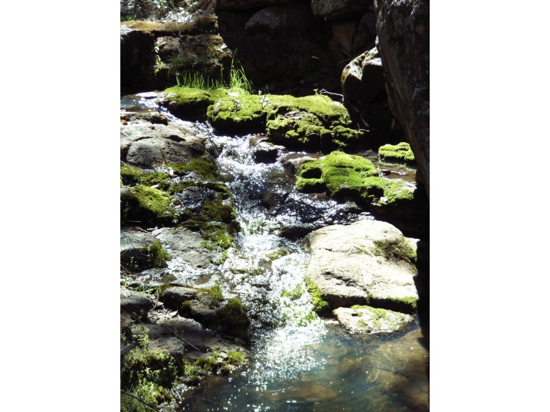 Coonabarabran NSW 2357