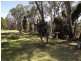 “Trevara” River Road, Coonabarabran NSW 2357