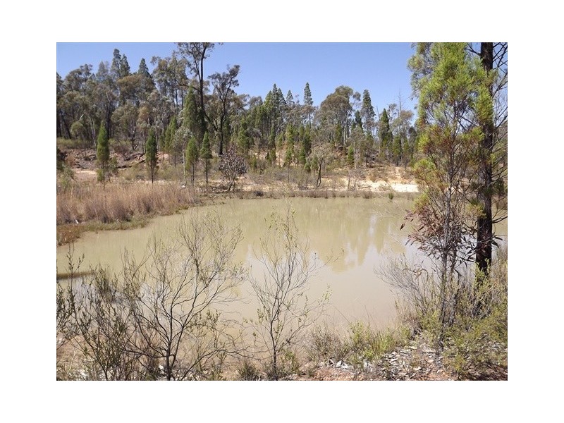 “Trevara” River Road, Coonabarabran NSW 2357