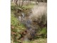 3545 Bundarra Road, Inverell NSW 2360