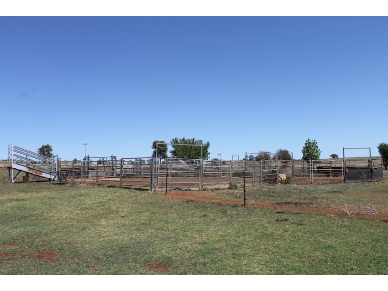 EDENLEE Tomes Lane, Inverell NSW 2360