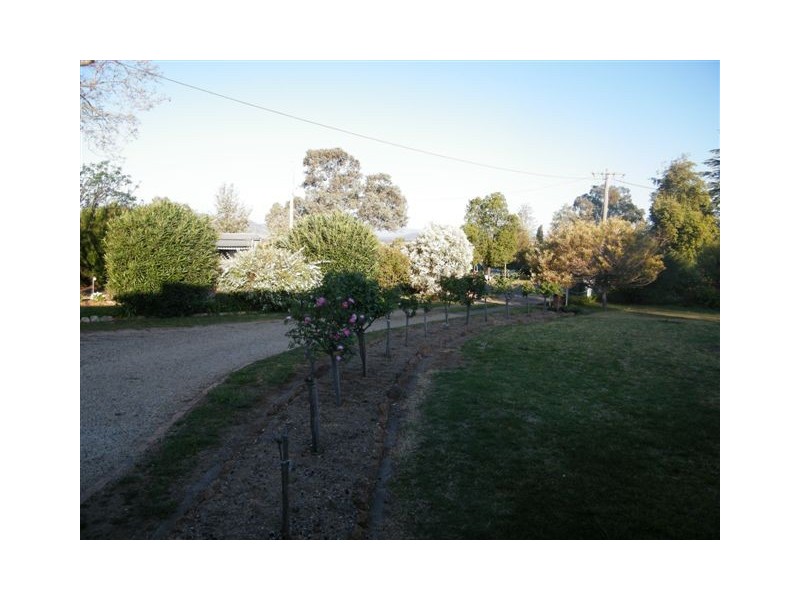5 Storey Street, Quirindi NSW 2343