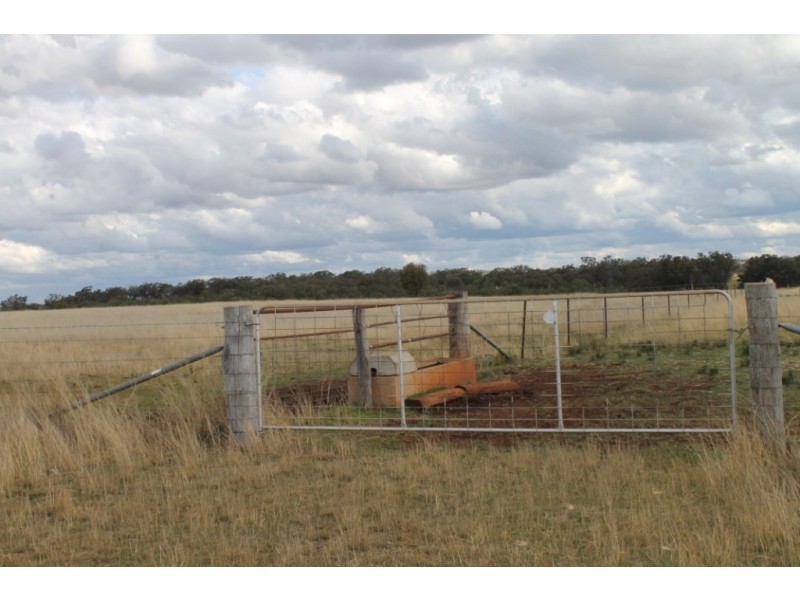 PAREE Halls Lane, Inverell NSW 2360