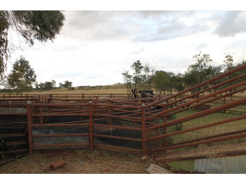 PAREE Halls Lane, Inverell NSW 2360