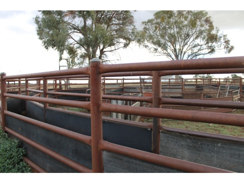 PAREE Halls Lane, Inverell NSW 2360