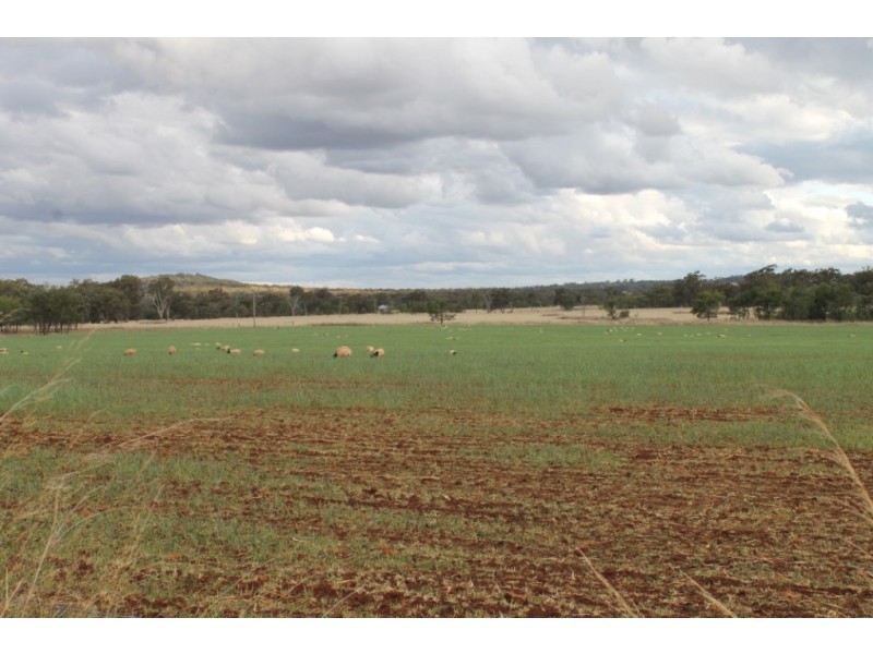 PAREE Halls Lane, Inverell NSW 2360