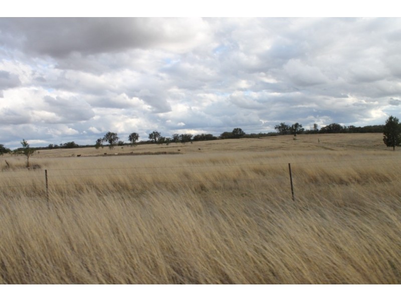 PAREE Halls Lane, Inverell NSW 2360