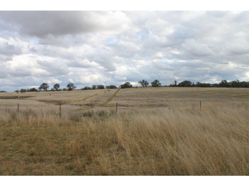 PAREE Halls Lane, Inverell NSW 2360