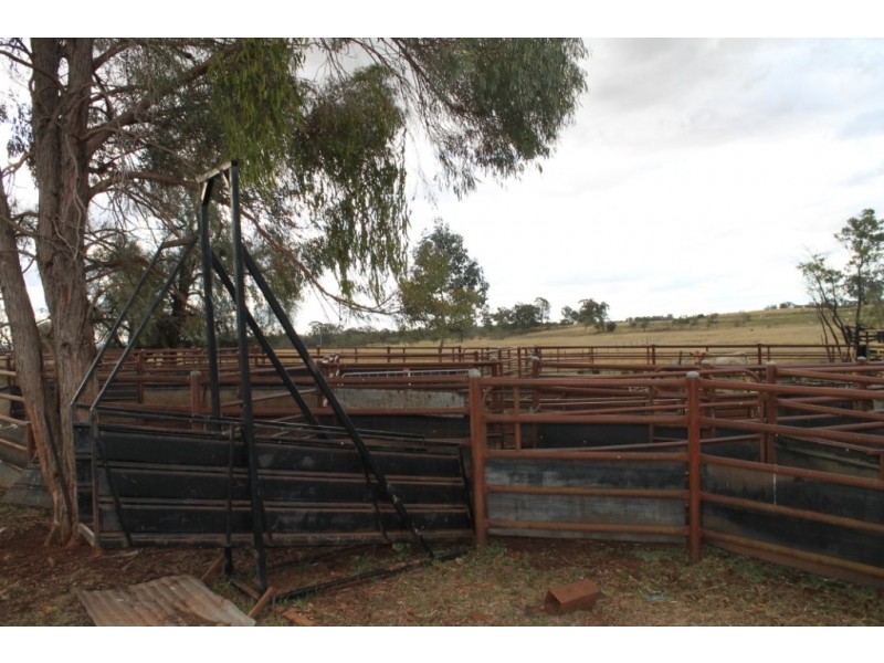 PAREE Halls Lane, Inverell NSW 2360
