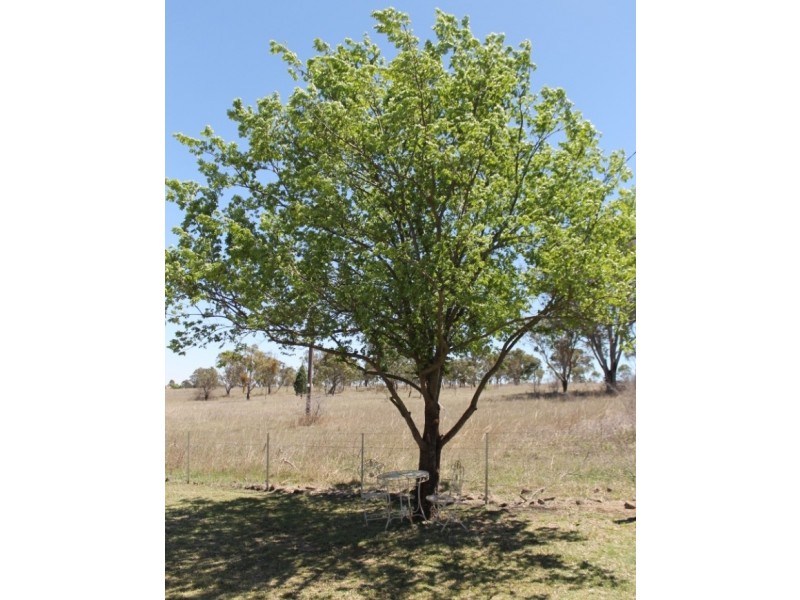 117b Moore Street, Inverell NSW 2360