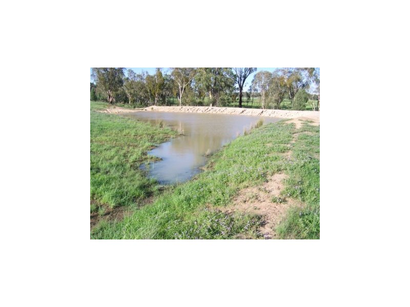 Binnaway NSW 2395