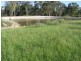 Binnaway NSW 2395