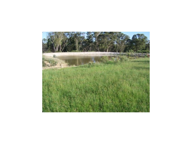 Binnaway NSW 2395
