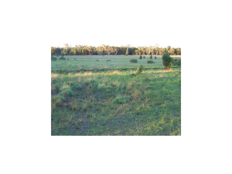 Binnaway NSW 2395