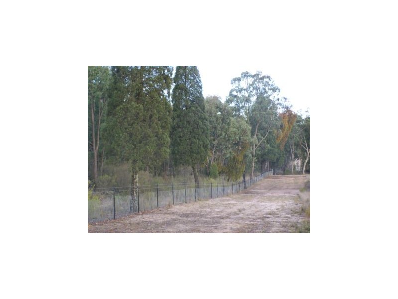 Binnaway NSW 2395