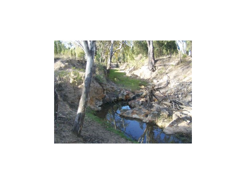 Binnaway NSW 2395