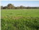 Binnaway NSW 2395