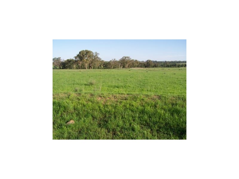 Binnaway NSW 2395