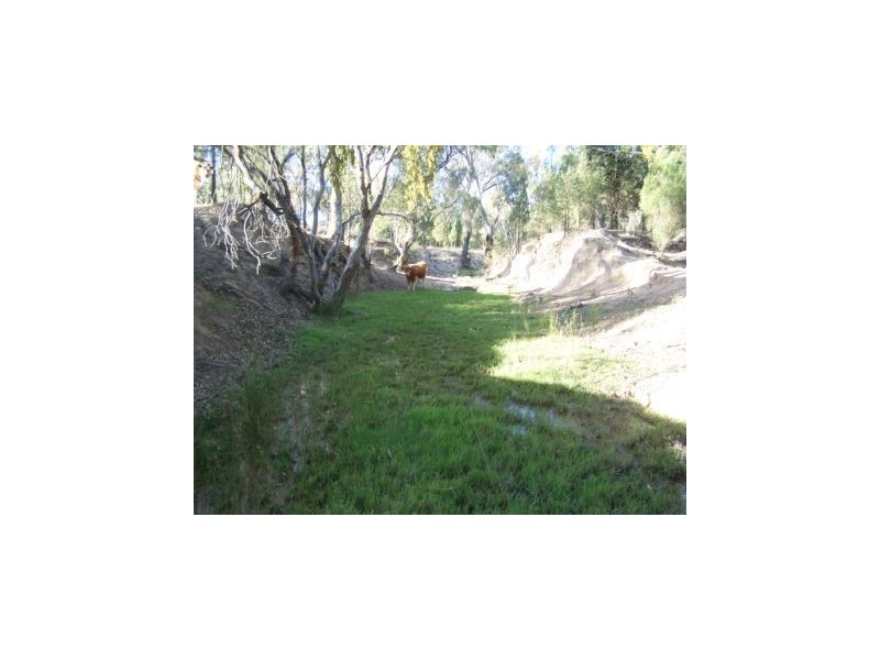 Binnaway NSW 2395
