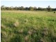 Binnaway NSW 2395