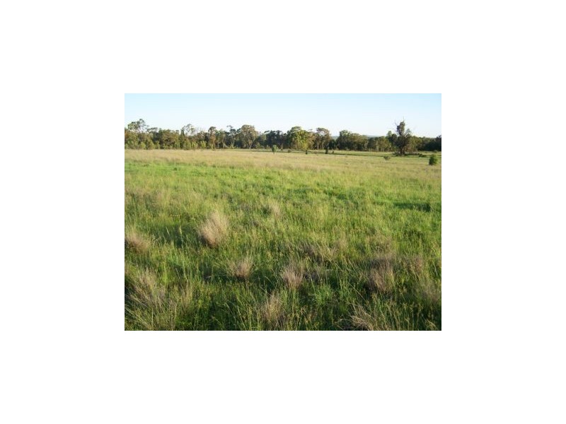 Binnaway NSW 2395