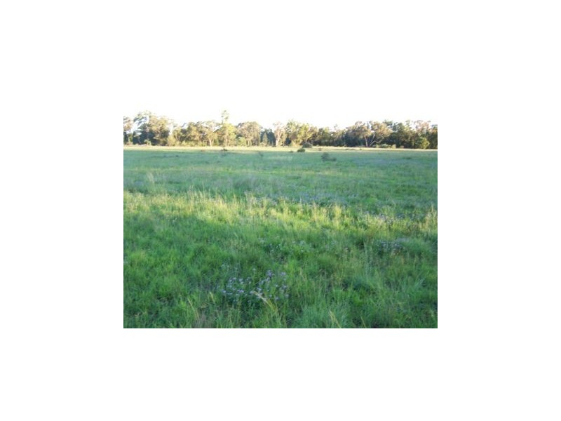 Binnaway NSW 2395