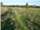 Binnaway NSW 2395