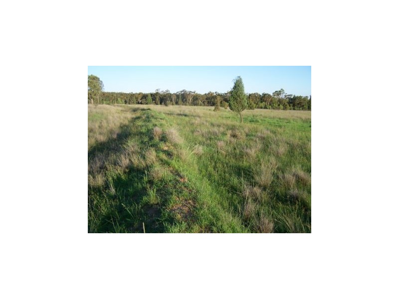 Binnaway NSW 2395