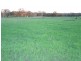 Binnaway NSW 2395