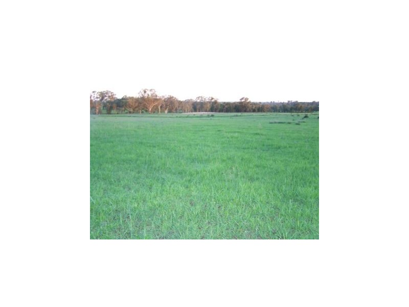 Binnaway NSW 2395