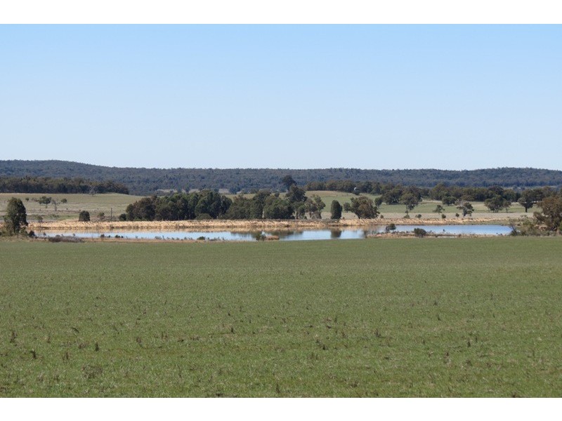“Grenmore” Oxley Hwy, Coonabarabran NSW 2357