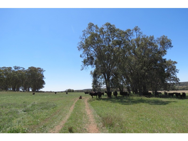 “Grenmore” Oxley Hwy, Coonabarabran NSW 2357