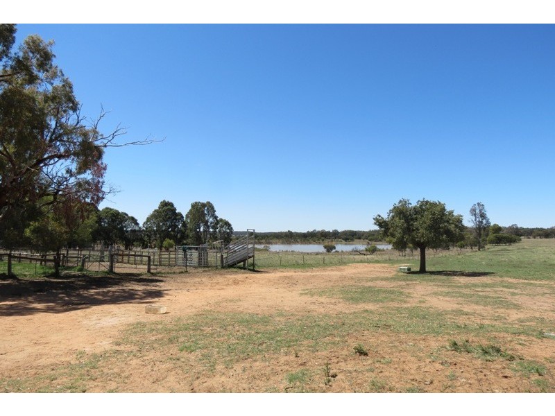 “Grenmore” Oxley Hwy, Coonabarabran NSW 2357