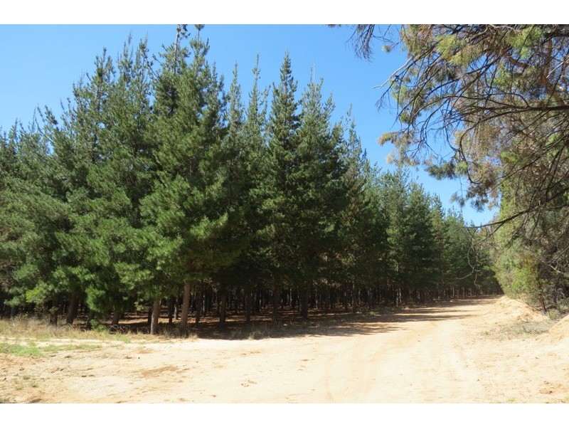 “Grenmore” Oxley Hwy, Coonabarabran NSW 2357