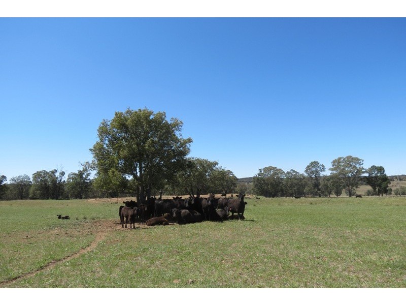 “Grenmore” Oxley Hwy, Coonabarabran NSW 2357