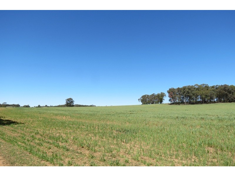 “Grenmore” Oxley Hwy, Coonabarabran NSW 2357
