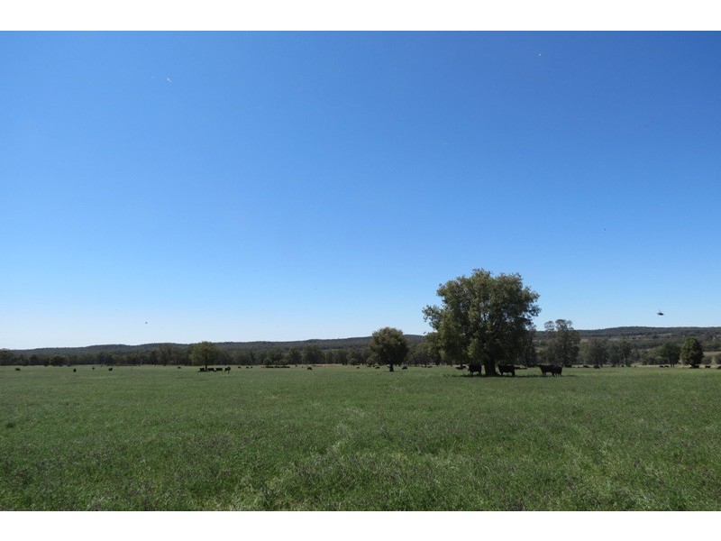 “Grenmore” Oxley Hwy, Coonabarabran NSW 2357