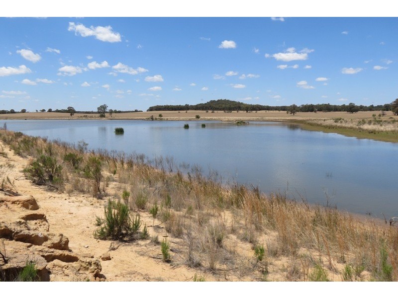 “Grenmore” Oxley Hwy, Coonabarabran NSW 2357