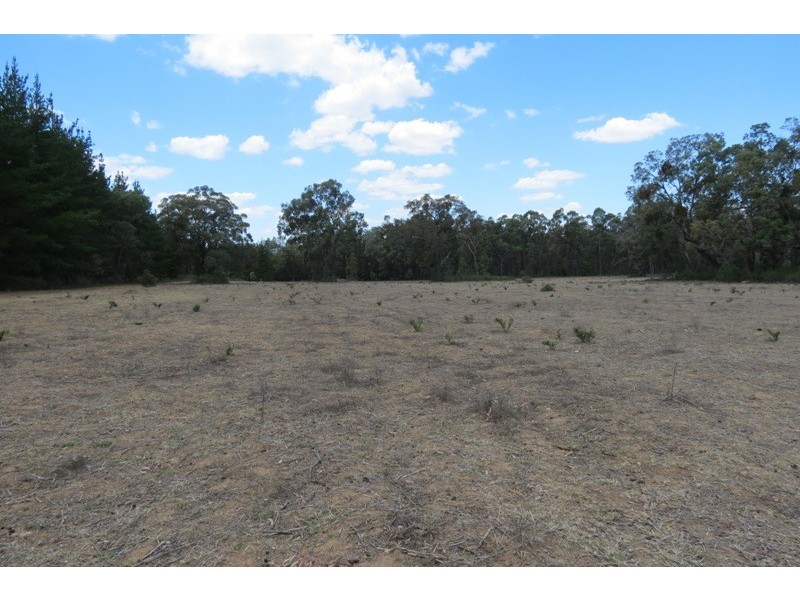 Quaker Tommy Road, Coonabarabran NSW 2357