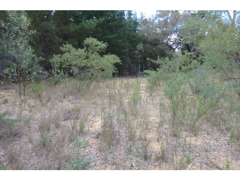 Quaker Tommy Road, Coonabarabran NSW 2357