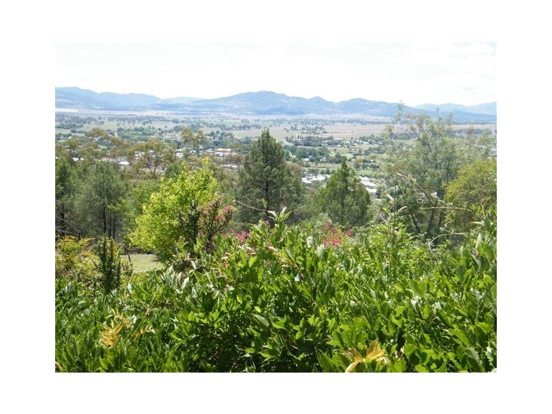 48 Ray Carter Drive, Quirindi NSW 2343