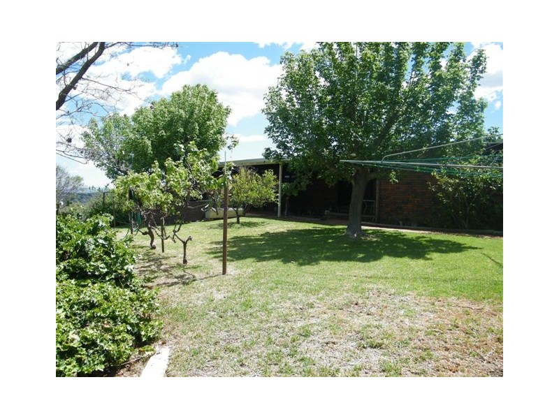 48 Ray Carter Drive, Quirindi NSW 2343
