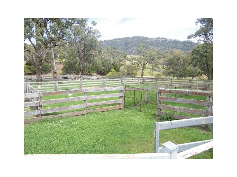 419 New England Highway, Tamworth NSW 2340