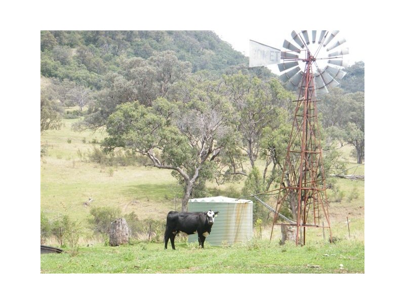 419 New England Highway, Tamworth NSW 2340