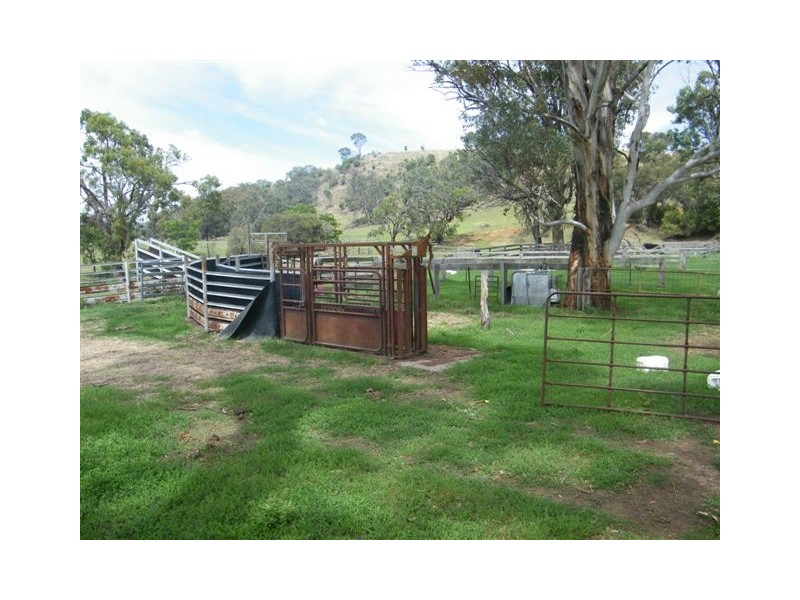 419 New England Highway, Tamworth NSW 2340