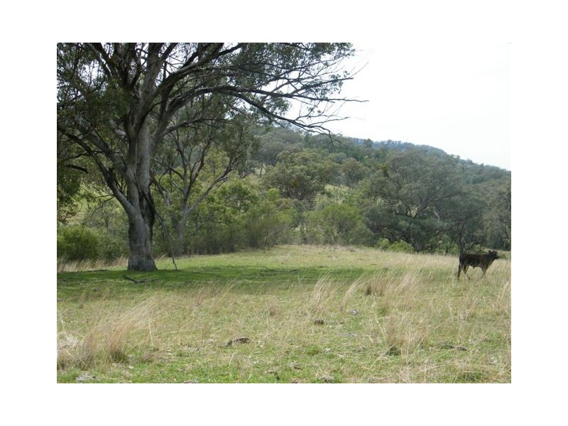 419 New England Highway, Tamworth NSW 2340