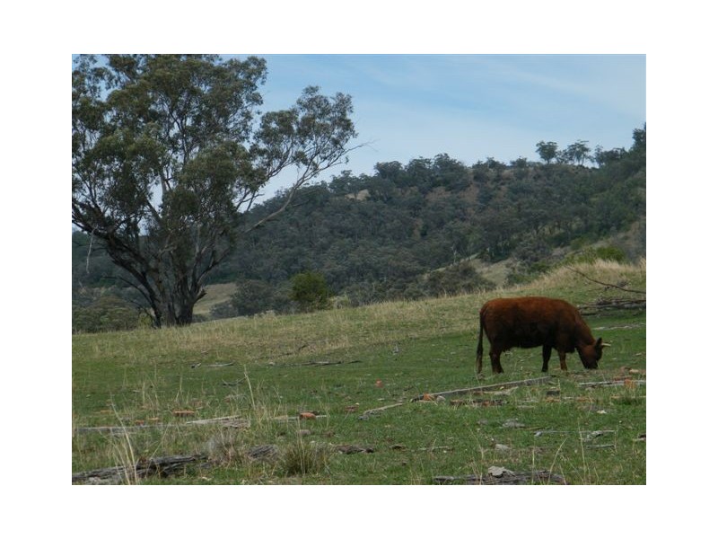 419 New England Highway, Tamworth NSW 2340